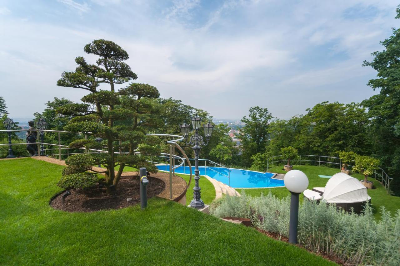 Villa Via Lapis - Panoramablick Ueber Dresden - Garten - Pool - Sauna - Luxus Buitenkant foto