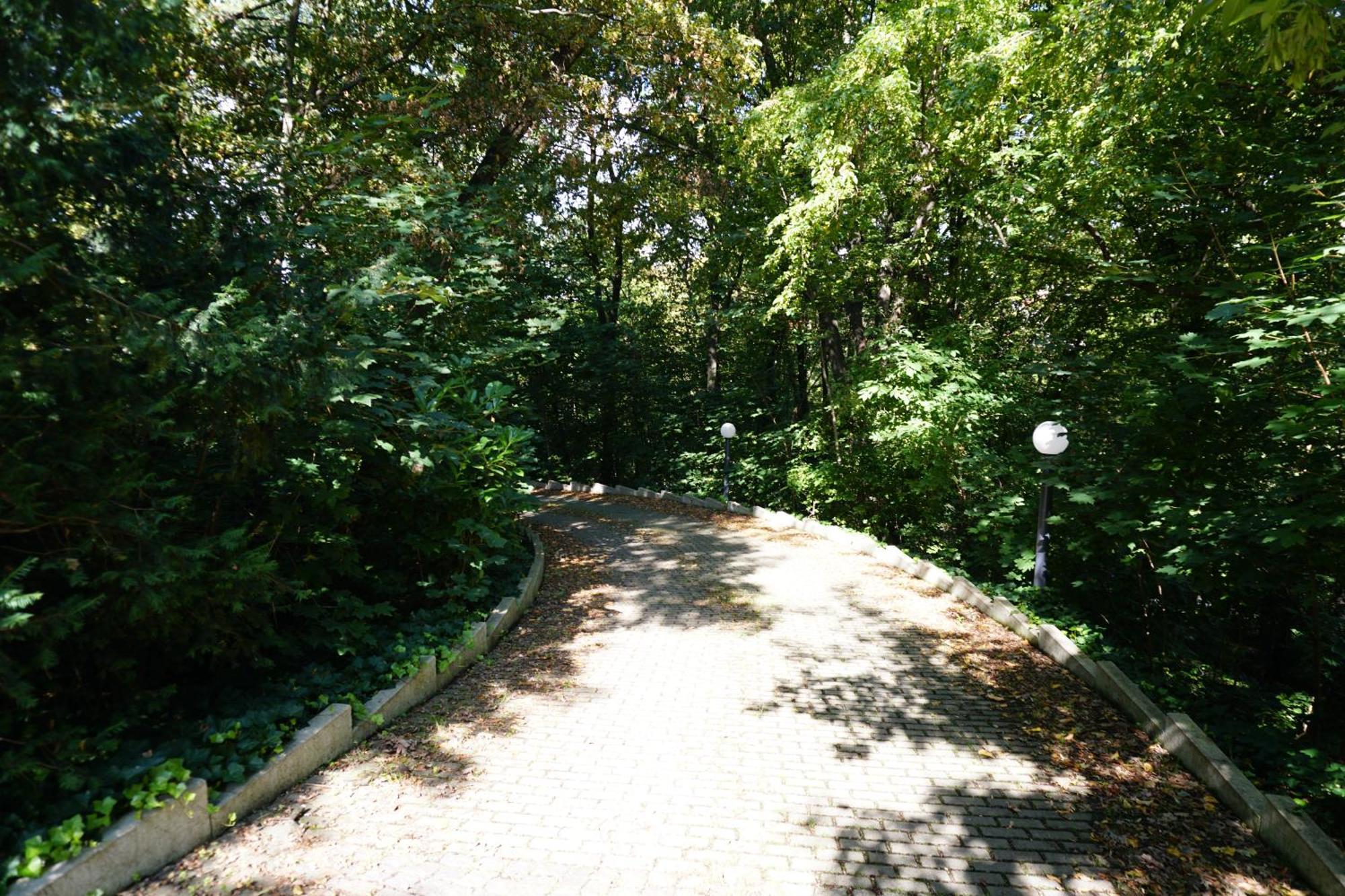 Villa Via Lapis - Panoramablick Ueber Dresden - Garten - Pool - Sauna - Luxus Buitenkant foto