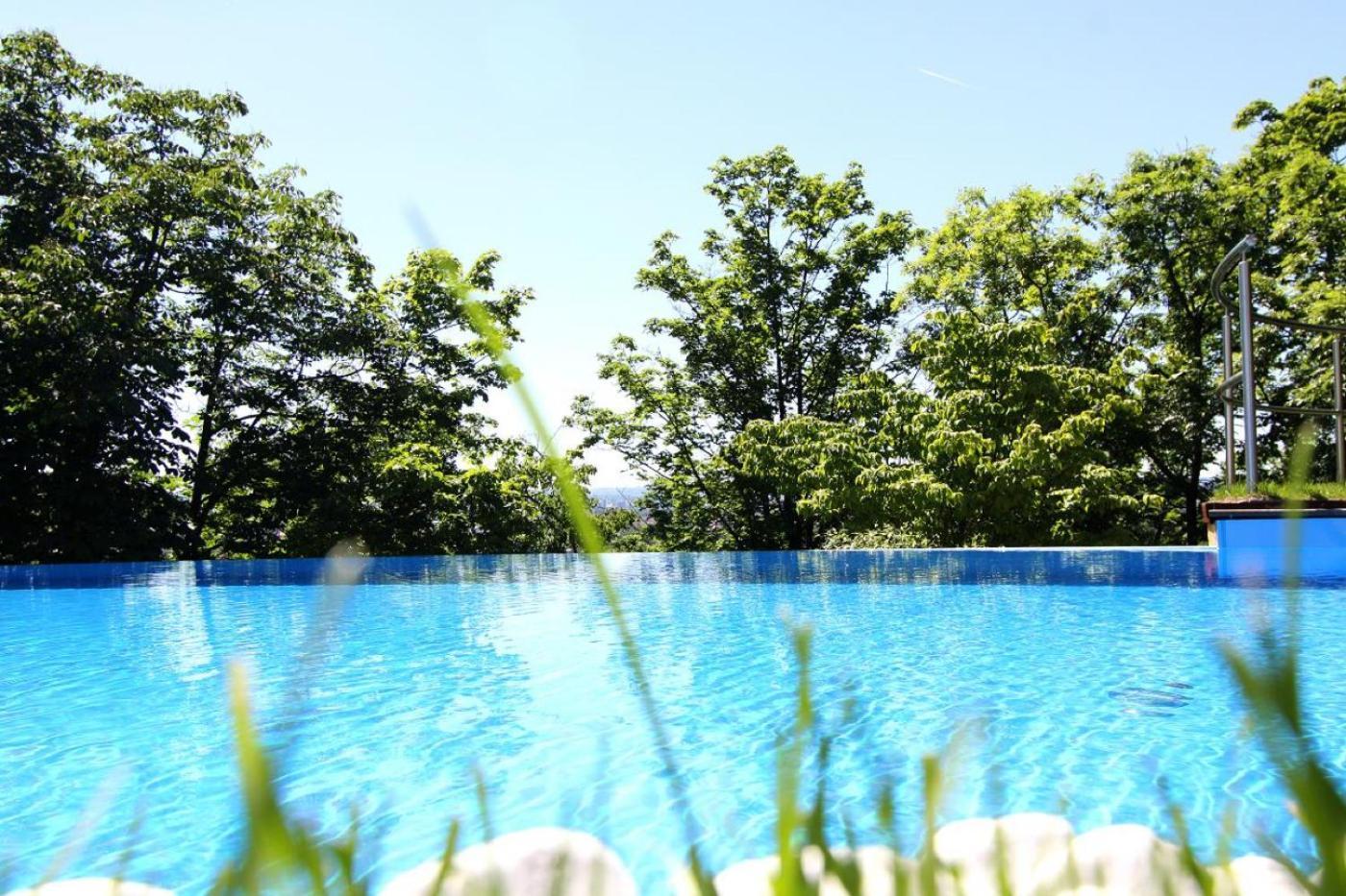 Villa Via Lapis - Panoramablick Ueber Dresden - Garten - Pool - Sauna - Luxus Buitenkant foto
